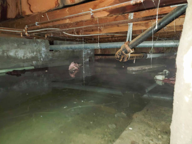 Best Water damage cleanup near me  in Staffd, OR