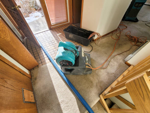 Best 24/7 water damage repair  in Staffd, OR