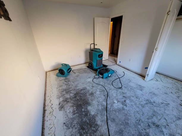 Best Water damage restoration near me  in Staffd, OR