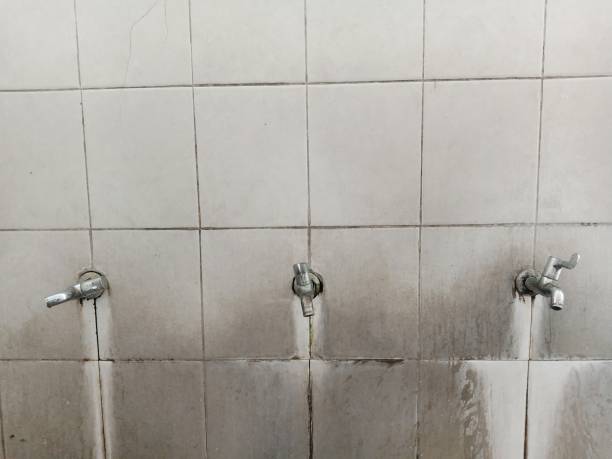 Best Carpet water damage restoration  in Staffd, OR