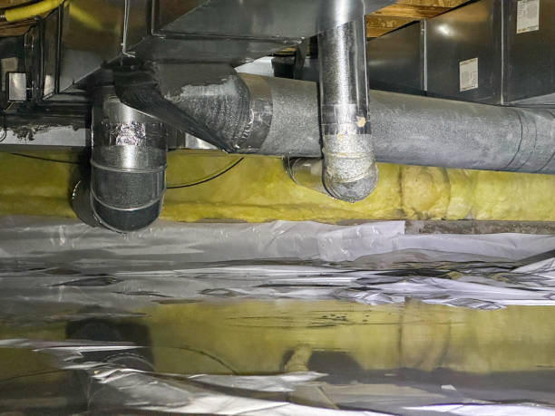 Best Professional water damage repair  in Staffd, OR