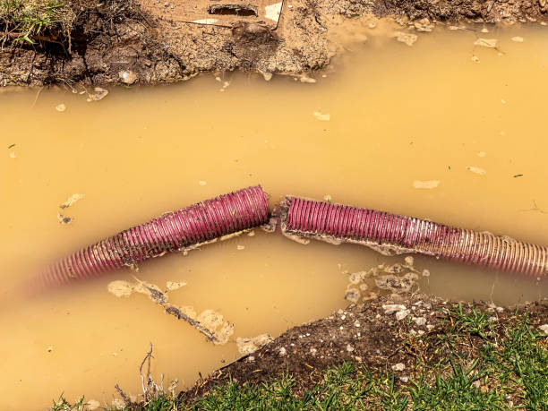 Best Mold removal after water damage  in Staffd, OR