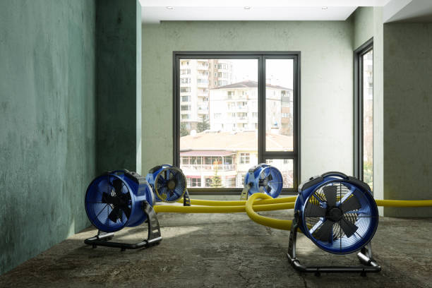 Best Water damage contractors near me  in Staffd, OR